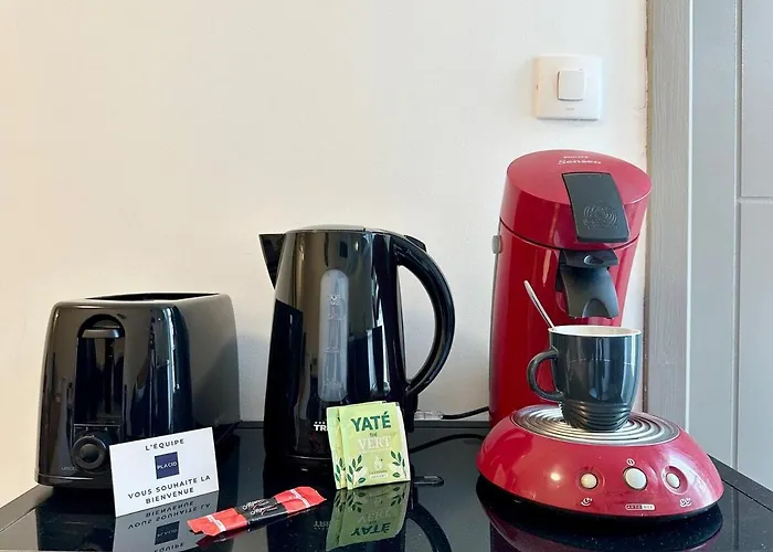 Apartment Le Cocon Urbain - Spacieux - Hyper Centre *