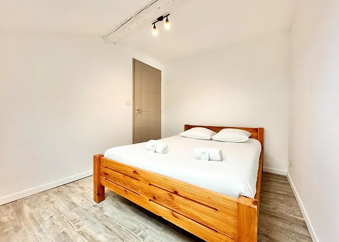 Apartment Le Cocon Urbain - Spacieux - Hyper Centre *