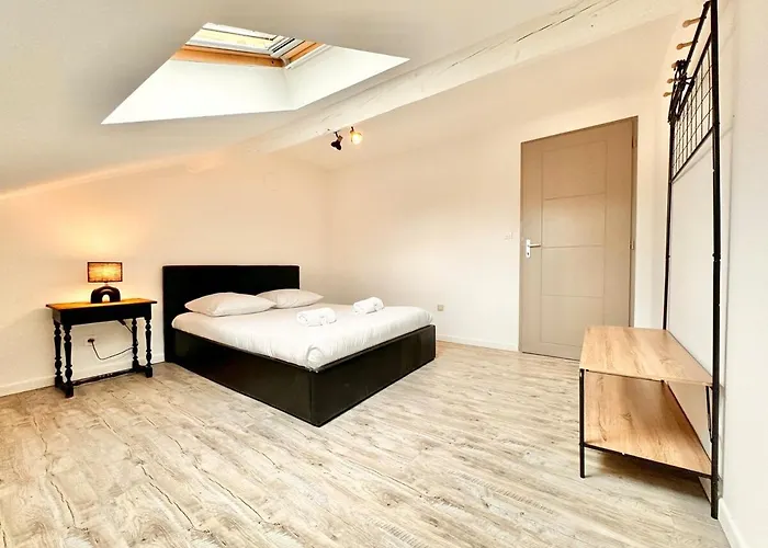 Apartment Le Cocon Urbain - Spacieux - Hyper Centre Mont-de-Marsan