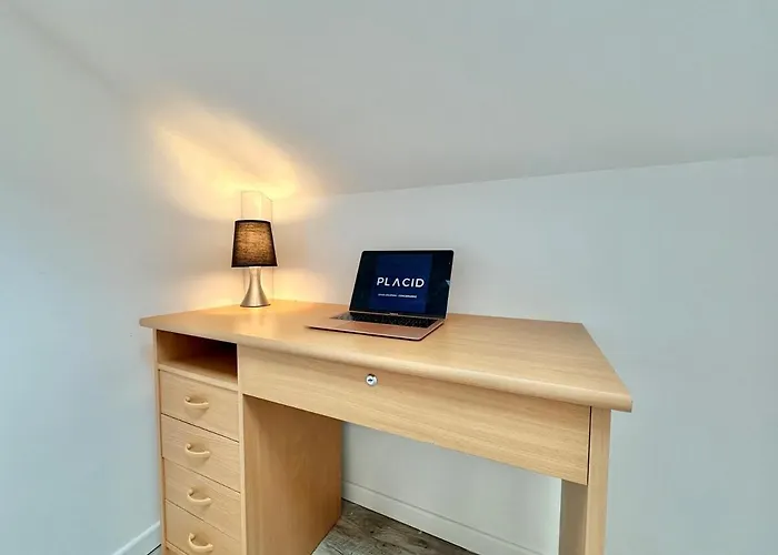 Le Cocon Urbain - Spacieux - Hyper Centre * Mont-de-Marsan